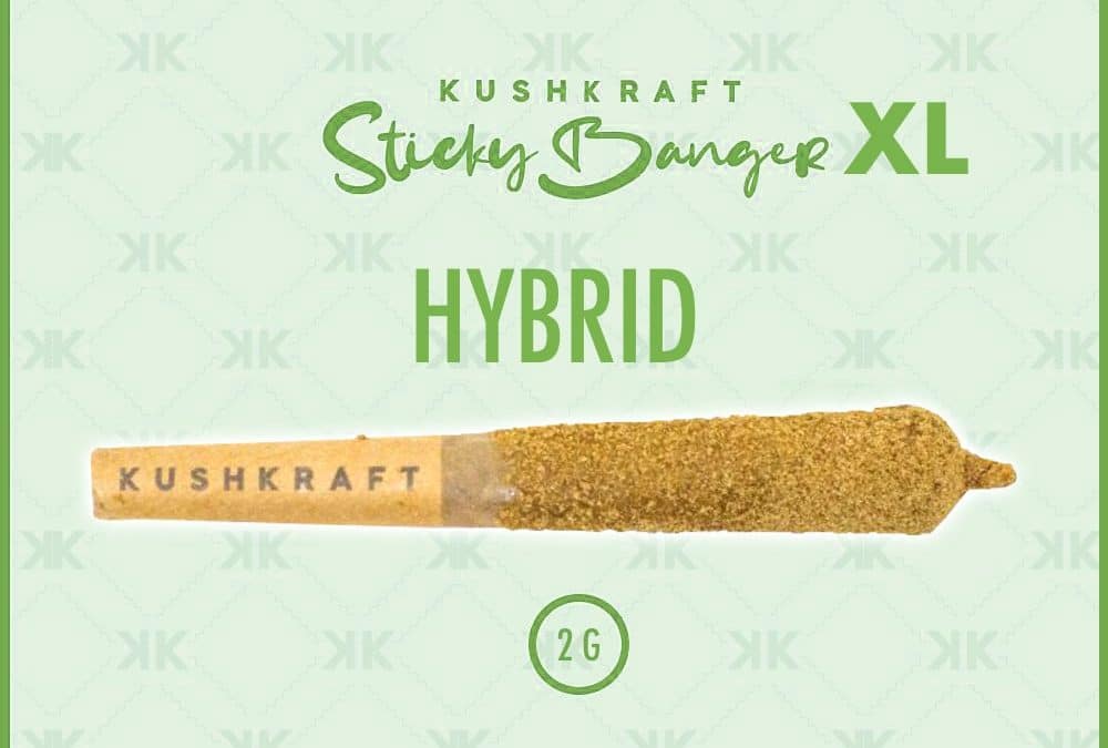 Banger XL Hybrid-