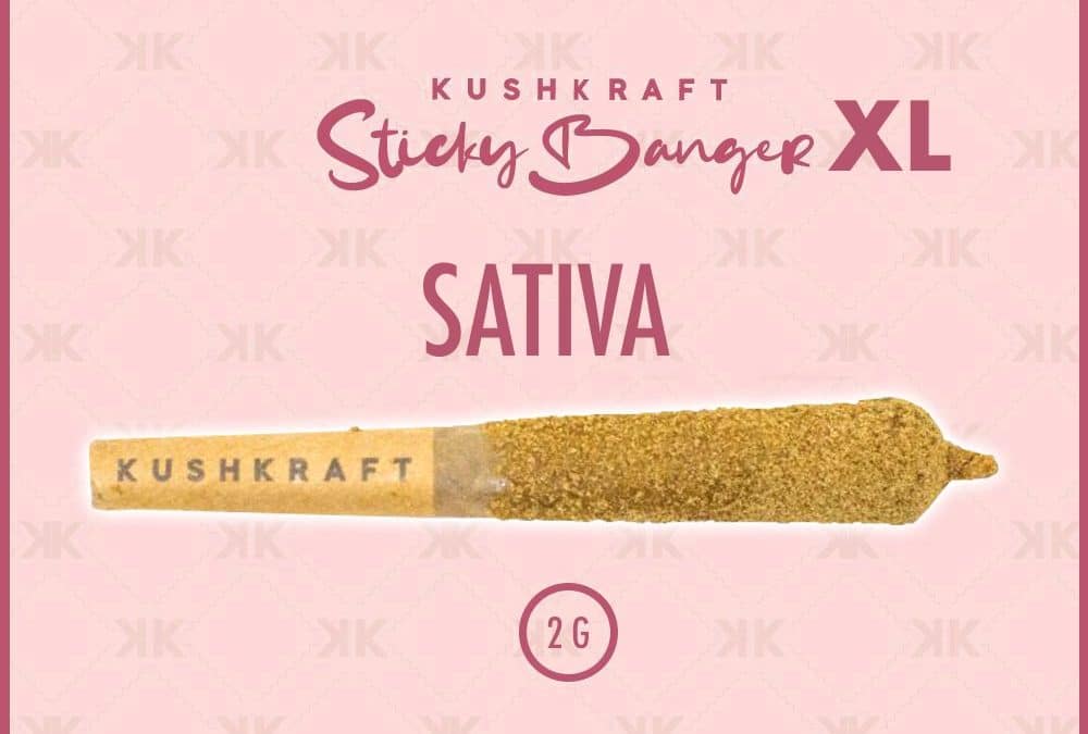 Banger XL Sativa-min