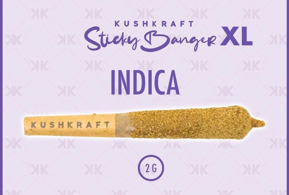Banger XL indica-min