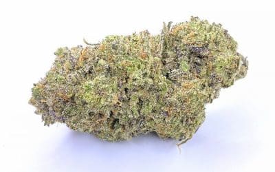 Blue Hawai Sativa AAAA