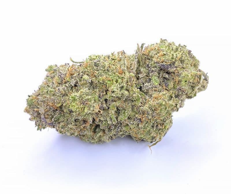 Blue Hawai AAAA Sativa
