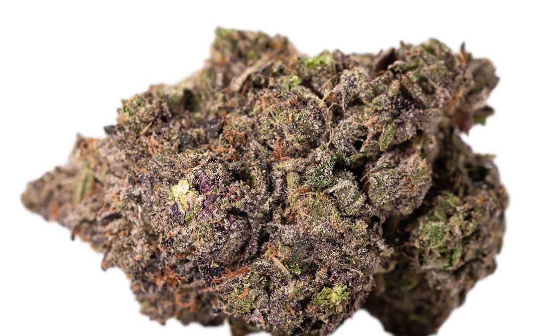 afghan gas-min