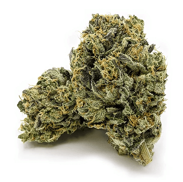 Hindu Kush AAAA Indica