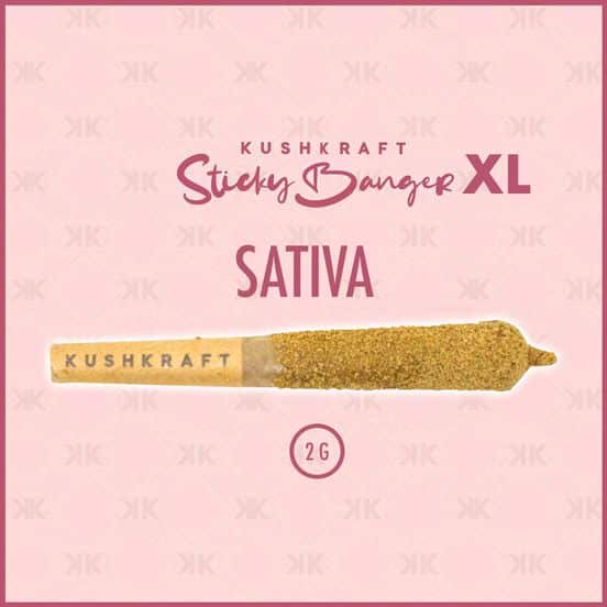 Close-up of an Infused Sticky Banger 1 x 2G XL Pre-Roll, showcasing a hefty 2g joint coated in sparkling kief over premium flower and distillate.