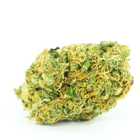 Close-up of Chrome Hearts OZ buds, showcasing vibrant green nugs with a frosty trichome layer and hints of citrusy, musky appeal.