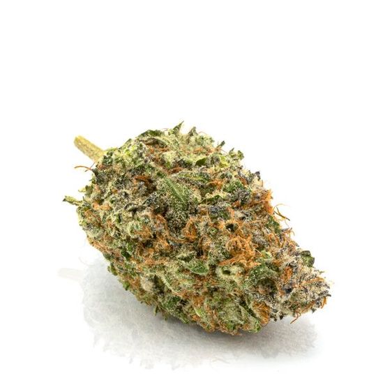 Close-up of Ghost Train Haze AAA Sativa buds, featuring dense, frosty nugs with a shimmering trichome coat, hinting at its Ghost OG lineage.