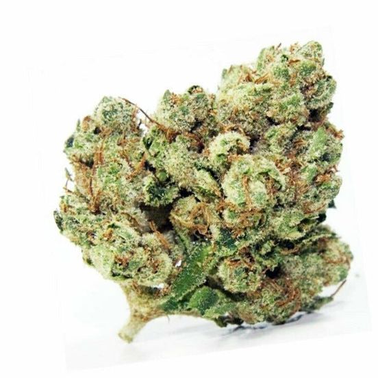 Close-up of Maui Waui AAA Sativa buds, featuring vibrant green nugs with a light trichome dusting, evoking its tropical island origins