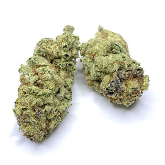 Close-up of Purple Punch OZ Special Indica nugs, showcasing fluffy, neon-bright buds with reddish pistils and amber trichomes against a vibrant green backdrop.
